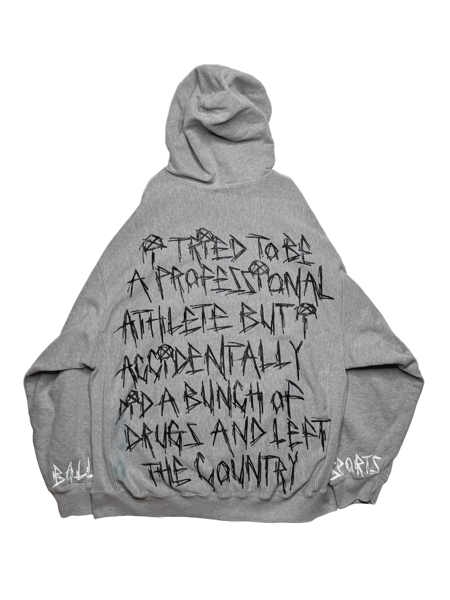 Résumé GAP Hoodie (Large)