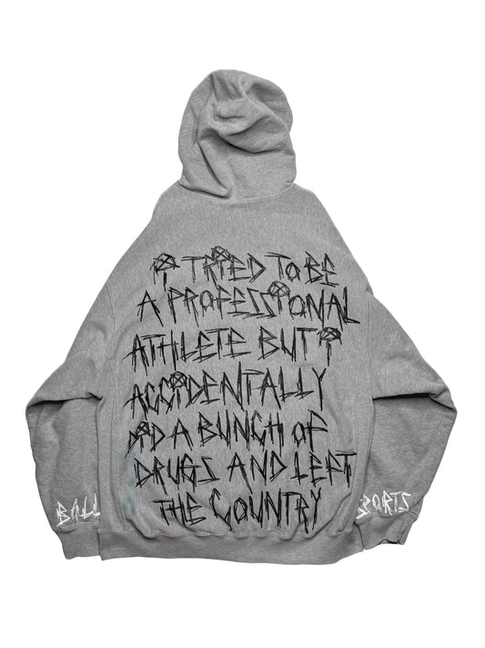 Résumé GAP Hoodie (Large)